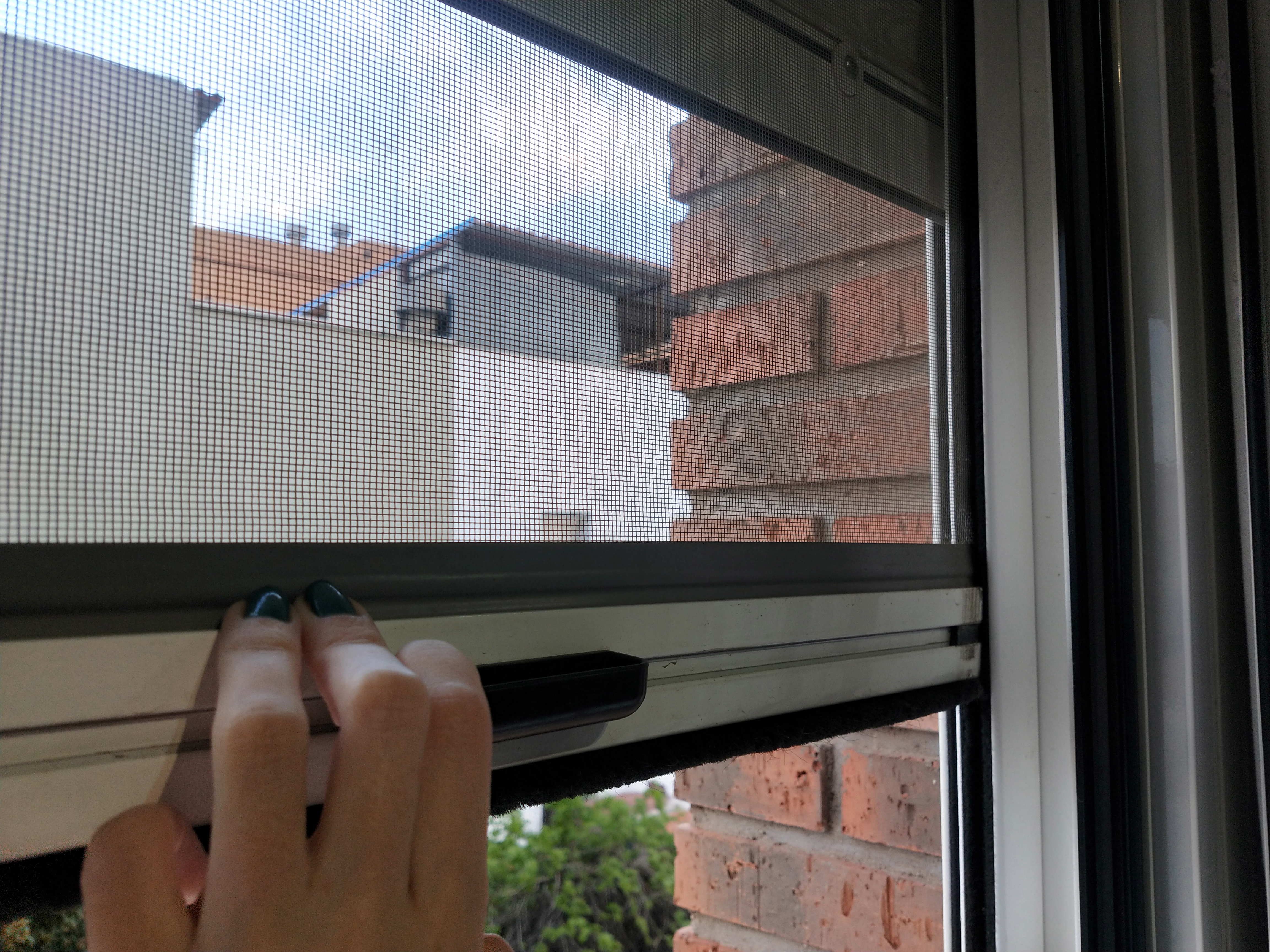 Blog Tipos de mosquiteras